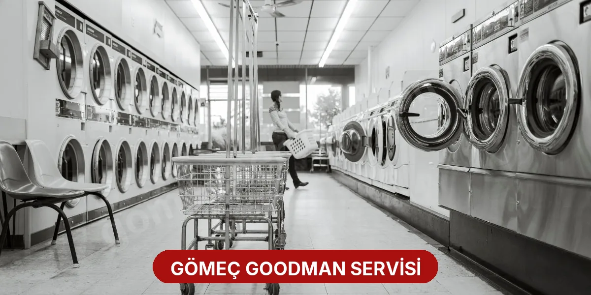 Gömeç Goodman Servisi