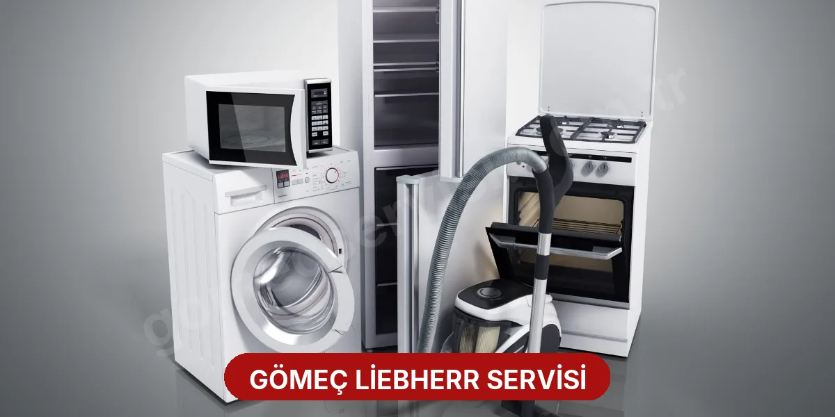Gömeç Liebherr Servisi